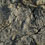 residus